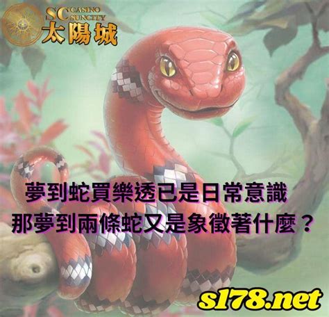 夢到龍魚號碼|夢見各種夢所代表的樂透數字（動物篇），周公解夢大全查詢